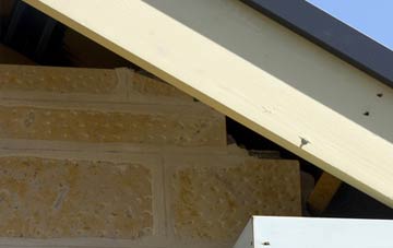 soffit repair Little Hale