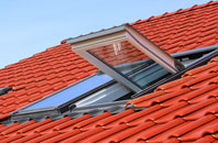 Little Hale roof window