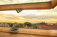 rated Little Hale roof window companies